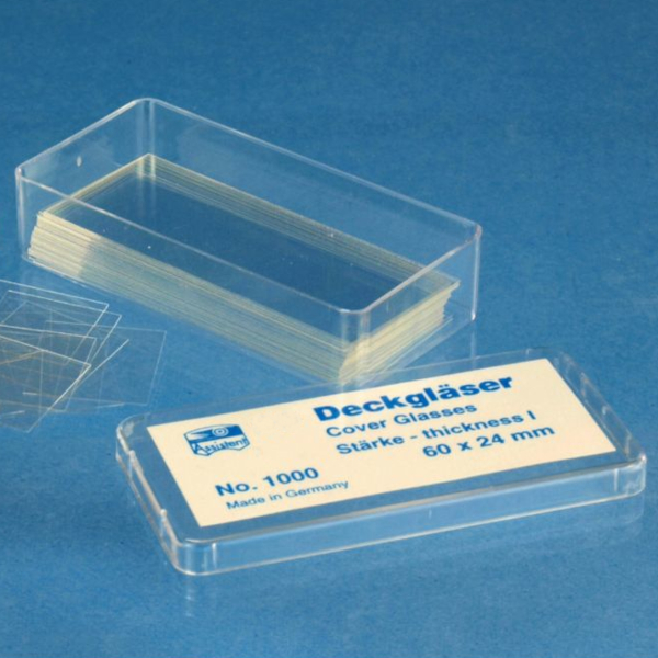 Deckgl�ser 40x24 mm 100 St�ck